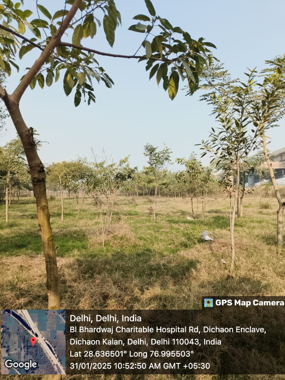 Compensatory Afforestation